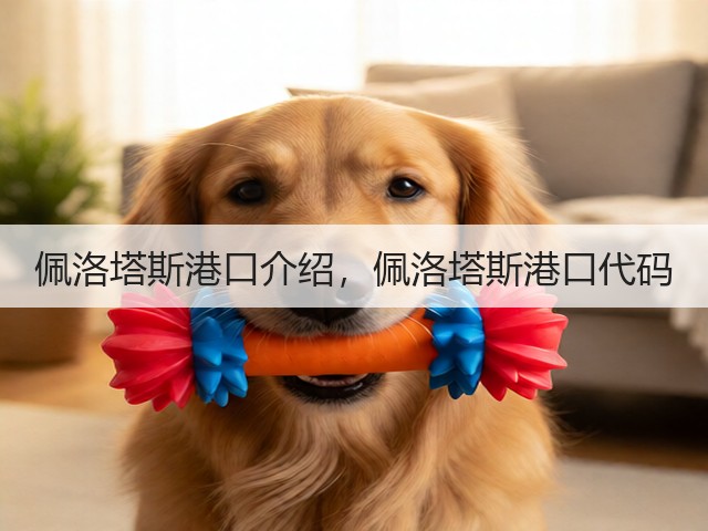 佩洛塔斯港口介绍,佩洛塔斯港口代码(图1) 佩洛塔斯港口介绍,佩洛塔斯港口代码(图1)