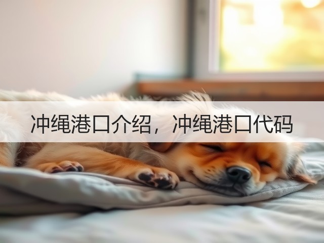 冲绳港口介绍，冲绳港口代码(图3)