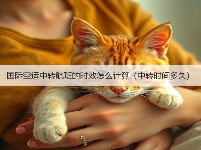 国际空运中转航班的时效怎么计算（中转时间多久）(图3)