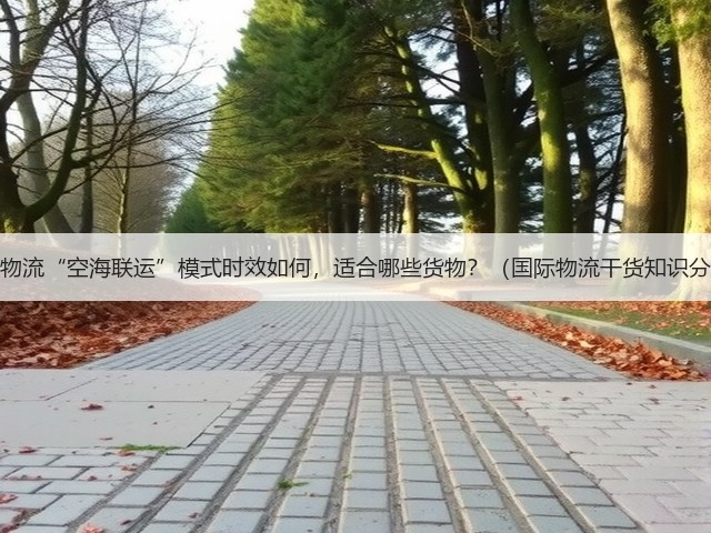 跨境物流“空海联运”模式时效如何,适合哪些货物?(国际物流干货知识分享)(图1) 跨境物流“空海联运”模式时效如何,适合哪些货物?(国际物流干货知识分享)(图1)