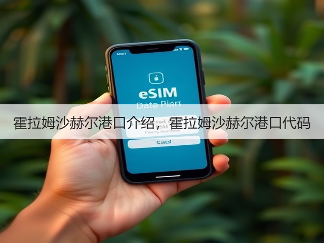霍拉姆沙赫尔港口介绍，霍拉姆沙赫尔港口代码(图3)
