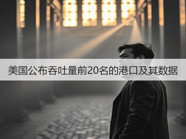 美国公布吞吐量前20名的港口及其数据(图1)