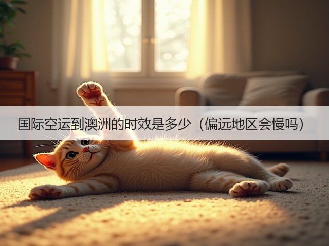 国际空运到澳洲的时效是多少(偏远地区会慢吗)(图1) 国际空运到澳洲的时效是多少(偏远地区会慢吗)(图1)