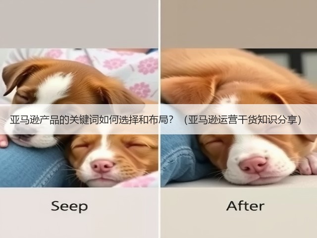 亚马逊产品的关键词如何选择和布局?(亚马逊运营干货知识分享)(图1) 亚马逊产品的关键词如何选择和布局?(亚马逊运营干货知识分享)(图1)
