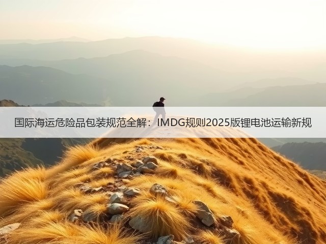 国际海运危险品包装规范全解：IMDG规则2025版锂电池运输新规(图3)