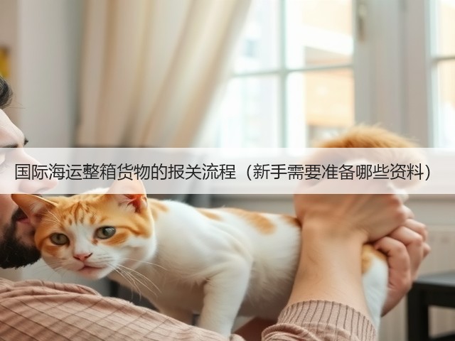 国际海运整箱货物的报关流程（新手需要准备哪些资料）(图1)
