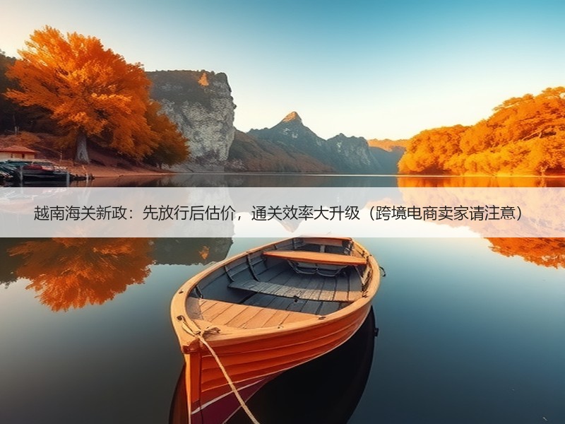 越南海关新政：先放行后估价，通关效率大升级（跨境电商卖家请注意）