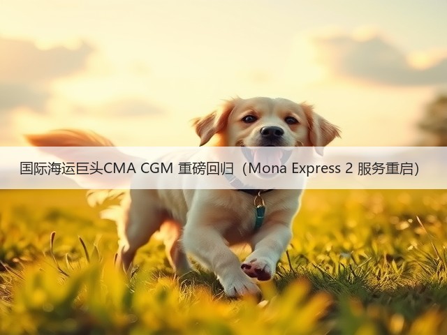 国际海运巨头CMA CGM 重磅回归(Mona Express 2 服务重启)(图3) 国际海运巨头CMA CGM 重磅回归(Mona Express 2 服务重启)(图3)
