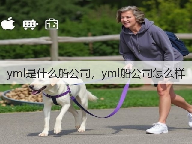yml是什么船公司，yml船公司怎么样(图2)
