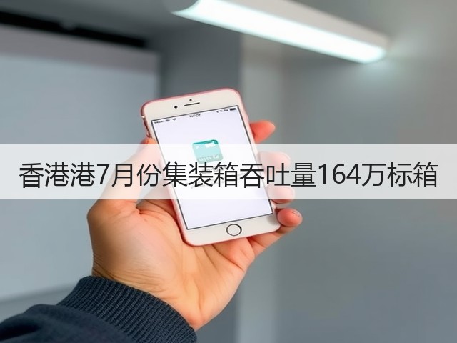 香港港7月份集装箱吞吐量164万标箱(图1)