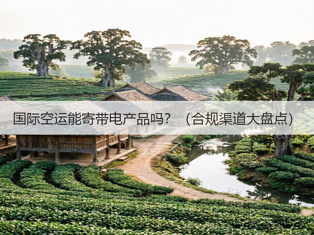 国际空运能寄带电产品吗？（合规渠道大盘点）(图3)