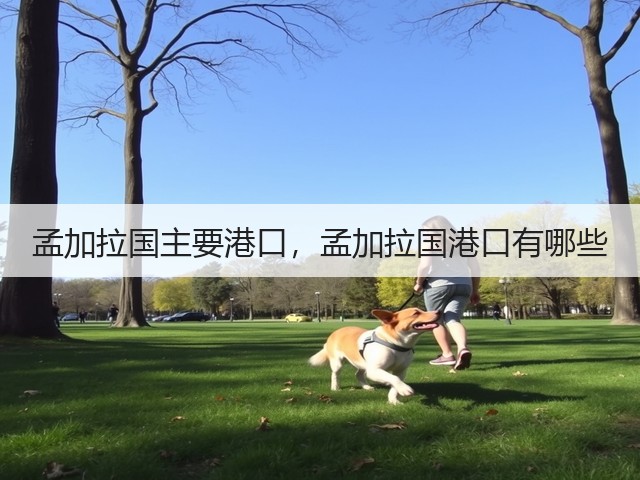 孟加拉国主要港口，孟加拉国港口有哪些(图3)