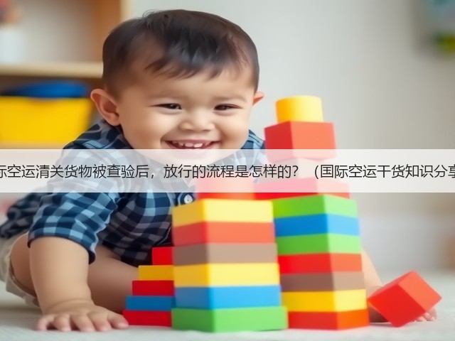 国际空运清关货物被查验后,放行的流程是怎样的?(国际空运干货知识分享)(图3) 国际空运清关货物被查验后,放行的流程是怎样的?(国际空运干货知识分享)(图3)