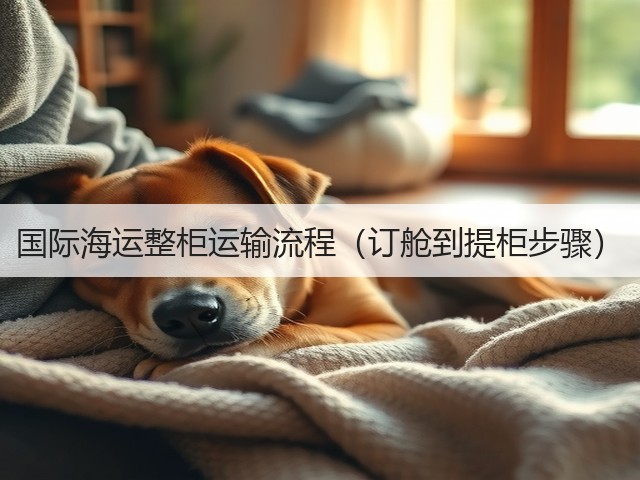 国际海运整柜运输流程（订舱到提柜步骤）(图2)