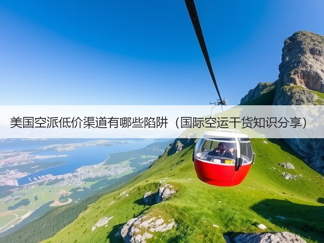 美国空派低价渠道有哪些陷阱（国际空运干货知识分享）(图3)