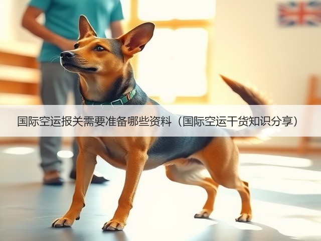 国际空运报关需要准备哪些资料(国际空运干货知识分享)(图1) 国际空运报关需要准备哪些资料(国际空运干货知识分享)(图1)