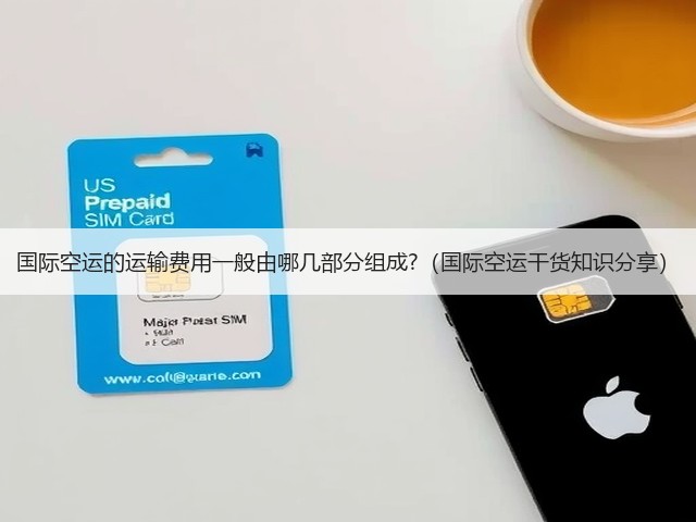 国际空运的运输费用一般由哪几部分组成?(国际空运干货知识分享)(图2) 国际空运的运输费用一般由哪几部分组成?(国际空运干货知识分享)(图2)