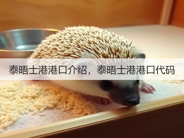 泰晤士港港口介绍,泰晤士港港口代码(图1) 泰晤士港港口介绍,泰晤士港港口代码(图1)