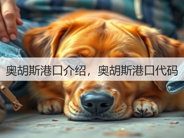 奥胡斯港口介绍，奥胡斯港口代码(图3)