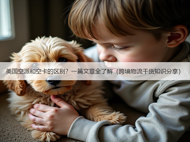 美国空派和空卡的区别？一篇文章全了解（跨境物流干货知识分享）(图3)