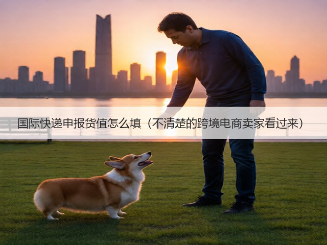 国际快递申报货值怎么填（不清楚的跨境电商卖家看过来）(图1)