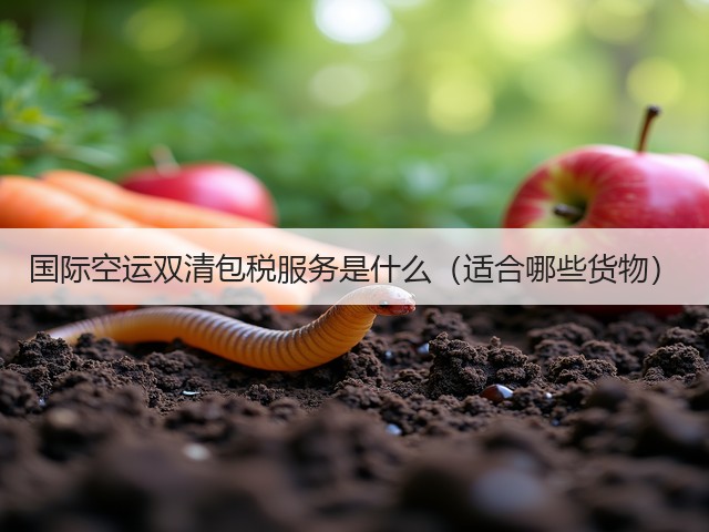 国际空运双清包税服务是什么(适合哪些货物)(图3) 国际空运双清包税服务是什么(适合哪些货物)(图3)