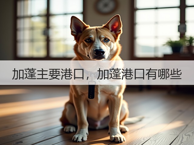 加蓬主要港口，加蓬港口有哪些(图1)