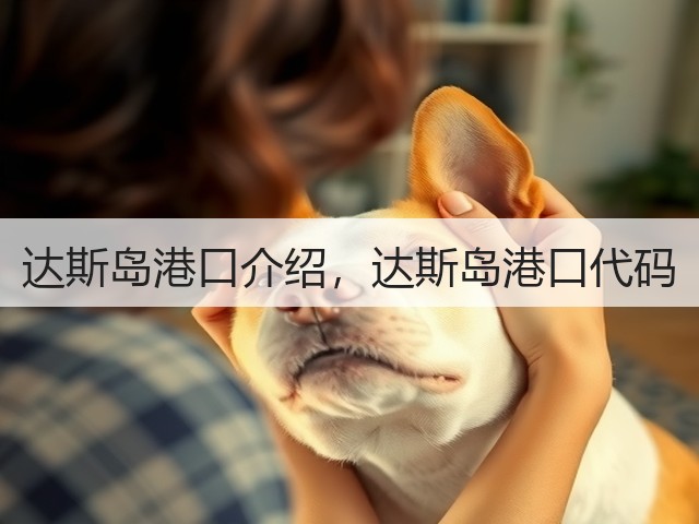 达斯岛港口介绍，达斯岛港口代码(图1)
