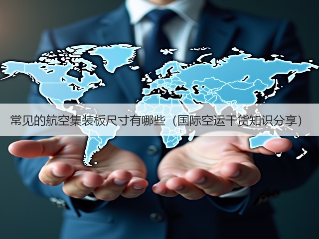 常见的航空集装板尺寸有哪些（国际空运干货知识分享）(图2)