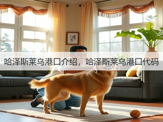哈泽斯莱乌港口介绍，哈泽斯莱乌港口代码(图1)