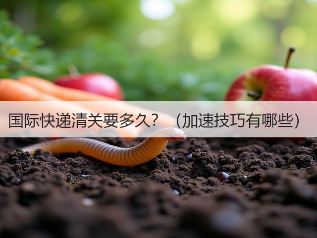 国际快递清关要多久？（加速技巧有哪些）(图1)