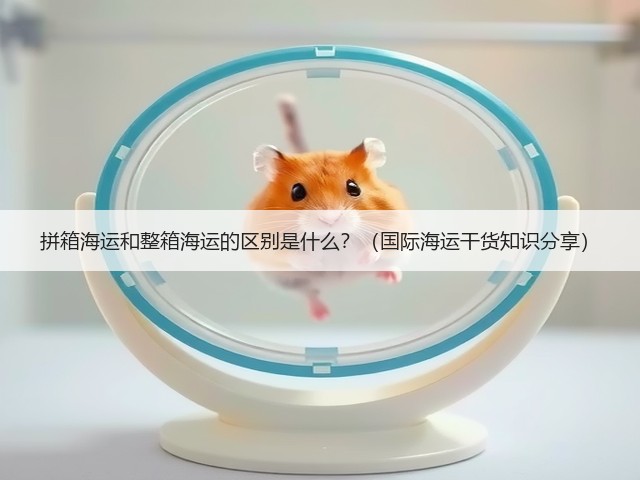 拼箱海运和整箱海运的区别是什么?(国际海运干货知识分享)(图2) 拼箱海运和整箱海运的区别是什么?(国际海运干货知识分享)(图2)