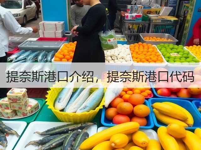 提奈斯港口介绍，提奈斯港口代码(图3)
