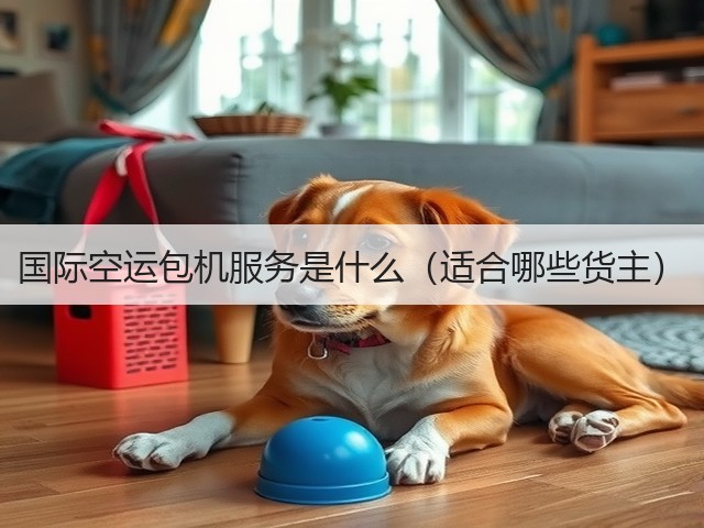 国际空运包机服务是什么(适合哪些货主)(图1) 国际空运包机服务是什么(适合哪些货主)(图1)