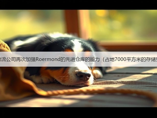 国际物流公司再次加强Roermond的先进仓库的能力(占地7000平方米的存储空间)(图3) 国际物流公司再次加强Roermond的先进仓库的能力(占地7000平方米的存储空间)(图3)