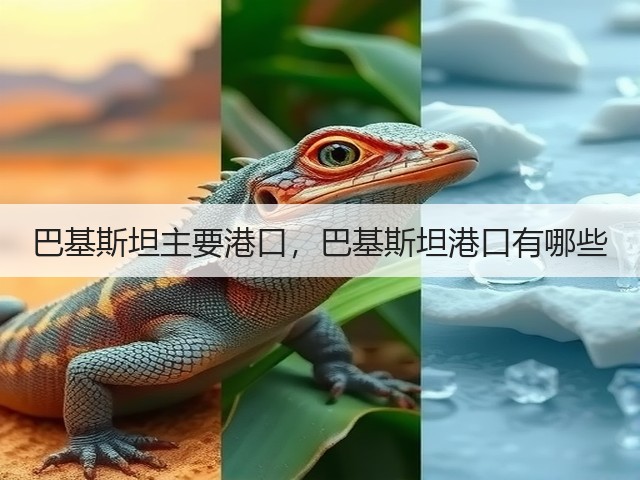 巴基斯坦主要港口，巴基斯坦港口有哪些(图3)