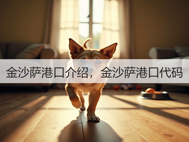 金沙萨港口介绍，金沙萨港口代码(图2)
