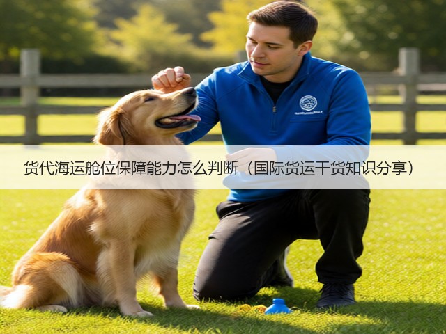 货代海运舱位保障能力怎么判断（国际货运干货知识分享）(图1)
