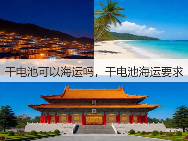 干电池可以海运吗，干电池海运要求(图3)