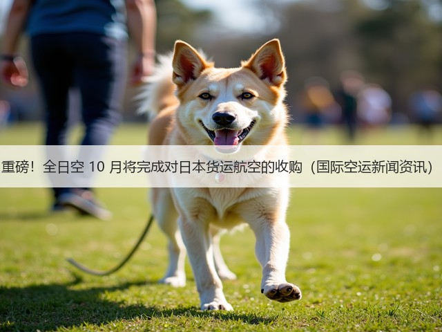 重磅！全日空 10 月将完成对日本货运航空的收购（国际空运新闻资讯）(图2)