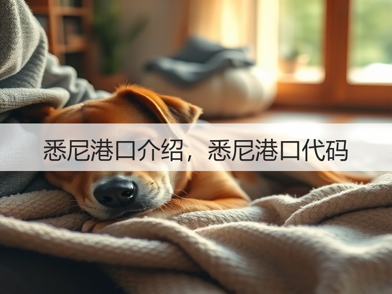 悉尼港口介绍,悉尼港口代码 悉尼港口介绍,悉尼港口代码