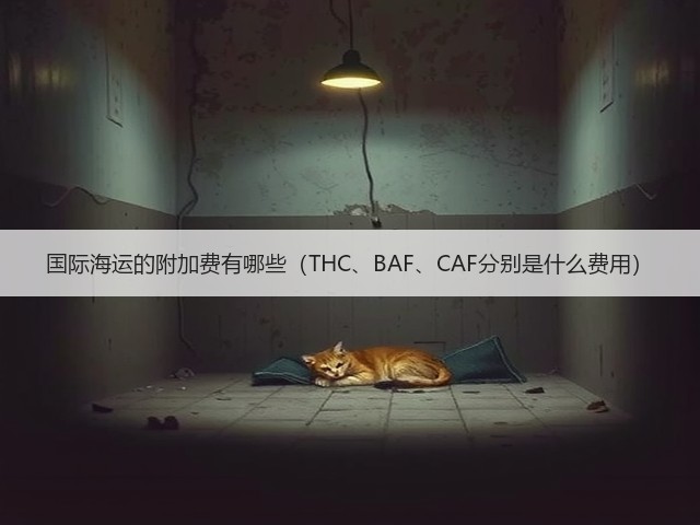 国际海运的附加费有哪些（THC、BAF、CAF分别是什么费用）(图2)