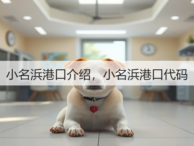 小名浜港口介绍，小名浜港口代码(图1)
