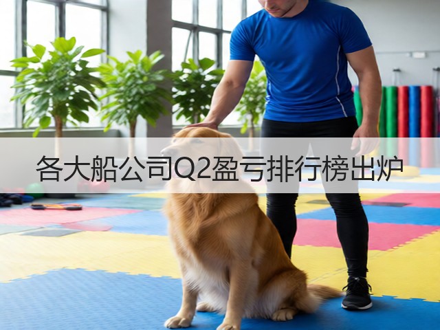 各大船公司Q2盈亏排行榜出炉(图1)