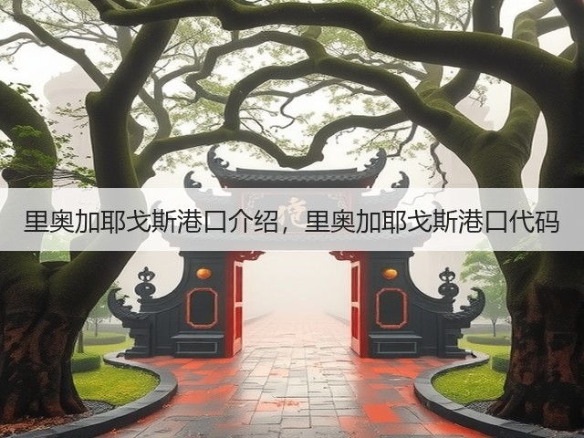 里奥加耶戈斯港口介绍，里奥加耶戈斯港口代码(图2)