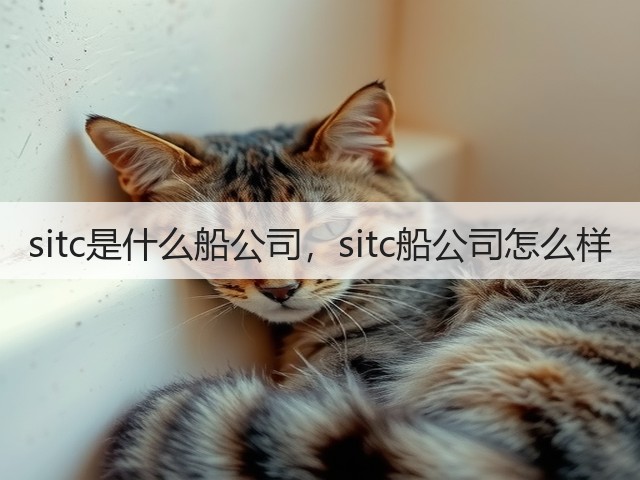sitc是什么船公司，sitc船公司怎么样(图3)