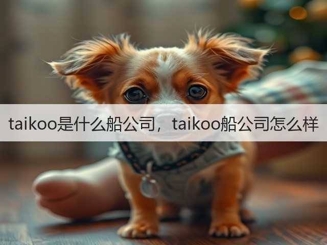 taikoo是什么船公司，taikoo船公司怎么样(图1)