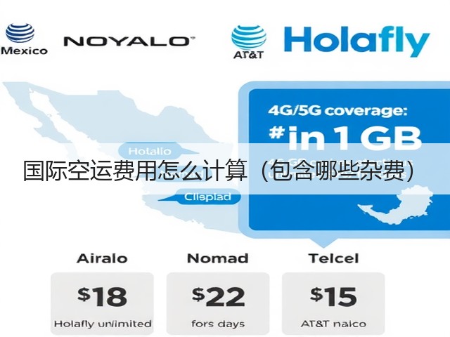 国际空运费用怎么计算(包含哪些杂费)(图3) 国际空运费用怎么计算(包含哪些杂费)(图3)