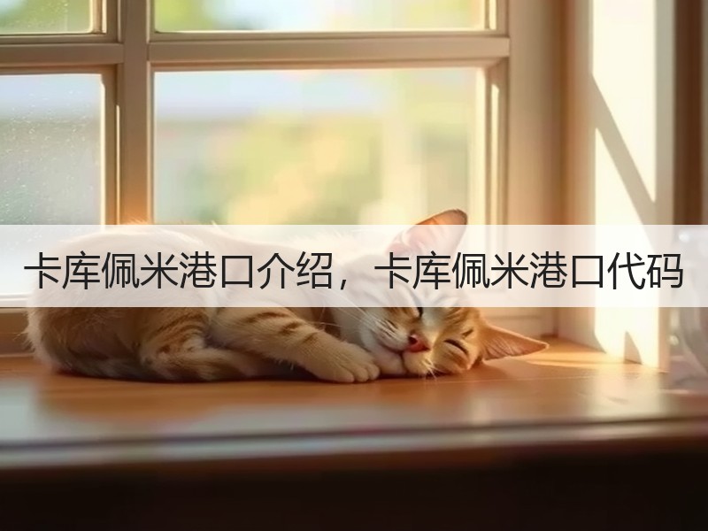 卡库佩米港口介绍，卡库佩米港口代码