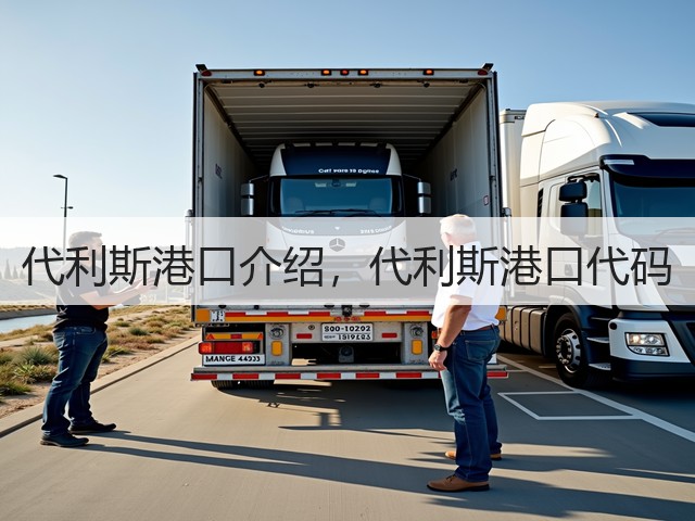 代利斯港口介绍，代利斯港口代码(图3)